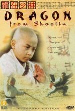 Watch Long zai Shaolin online free.