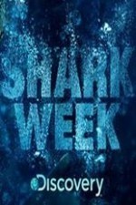 Watch Shark Week online free.
